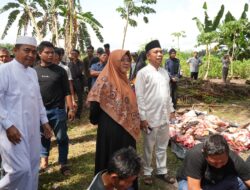 Bupati Siak Menyerahkan Sapi Kurban untuk Presiden di Maredan Barat
