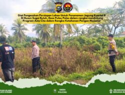 Pemda di Tembilahan Hulu Berencana Menanam Jagung untuk Mendukung Ketahanan Pangan