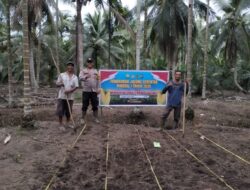 Polsek Tempuling Melaksanakan Penanaman Jagung Bersama Warga, Menunjukkan Dukungan Aktif Terhadap Ketahanan Pangan Nasional