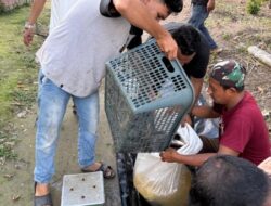 Dewantara PLN Membuka Peluang Kerja di Tenayan untuk Memperkuat Ekonomi Masyarakat Okura