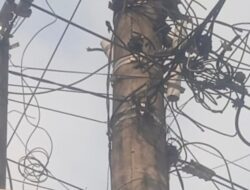 Pemkab Kuansing Memperhitungkan Pajak Tiang Fiber Optik untuk Meningkatkan PAD