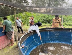 PLN Nusantara Meningkatkan Ekonomi Masyarakat di Tenayan Melalui Budidaya Ikan Berbasis Sistem Bioflok dengan Penggunaan Cacing Sebagai Pakan