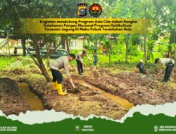 Polsek Tembilahan Hulu Memberikan Pupuk pada Tanaman Jagung usai Pembersihan Lahan