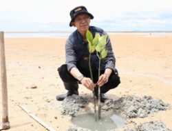 Wali Kota Batam dan Mahasiswa Unrika Tanam 2.000 Bibit Mangrove