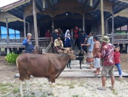 PT Arara Abadi Mengalokasikan 58 Hewan Kurban untuk Masyarakat di Sekitar Wilayah Operasionalnya