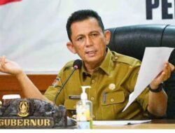 Hingga Saat Ini, Jembatan Batam-Bintan Belum Terealisasi Sepenuhnya