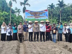 Polres Bengkalis Mendorong Swasembada Pangan Melalui Program Penanaman Jagung Pipil di Kuala Alam