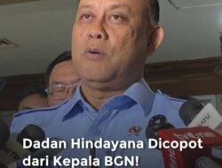 Prabowo Subianto Memecat Dadan Hindayana Sebagai Kepala Badan Gizi Nasional