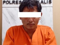 Satu Pelaku Peredaran Sabu Ditangkap oleh Polsek Pinggir
