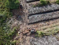Polda Riau Menyelidiki Dugaan Perusakan 100 Hektare Hutan Mangrove di Rohil