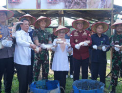 Wakil Bupati Misrianti Meraih Hasil Panen Besar Ikan Patin di Yonif 132/Bima Sakti