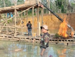 Polda Riau Menyita 843 Rakit Tambang Ilegal di Sungai Kuantan dalam Upaya Memerangi PETI